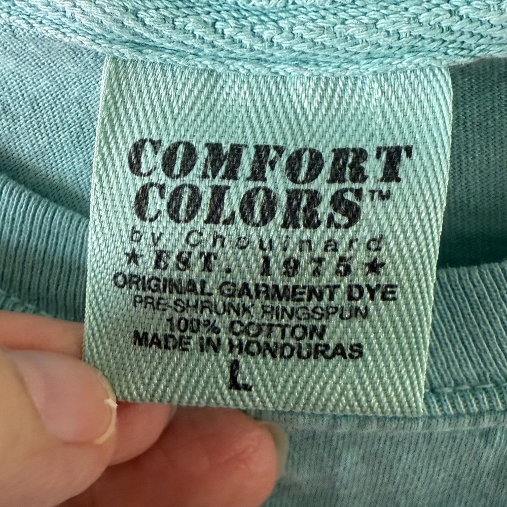 Comfort Colors L Pastel Aqua Long Sleeve Holiday Southern Fried Cotton T-Shirt - Picture 6 of 6